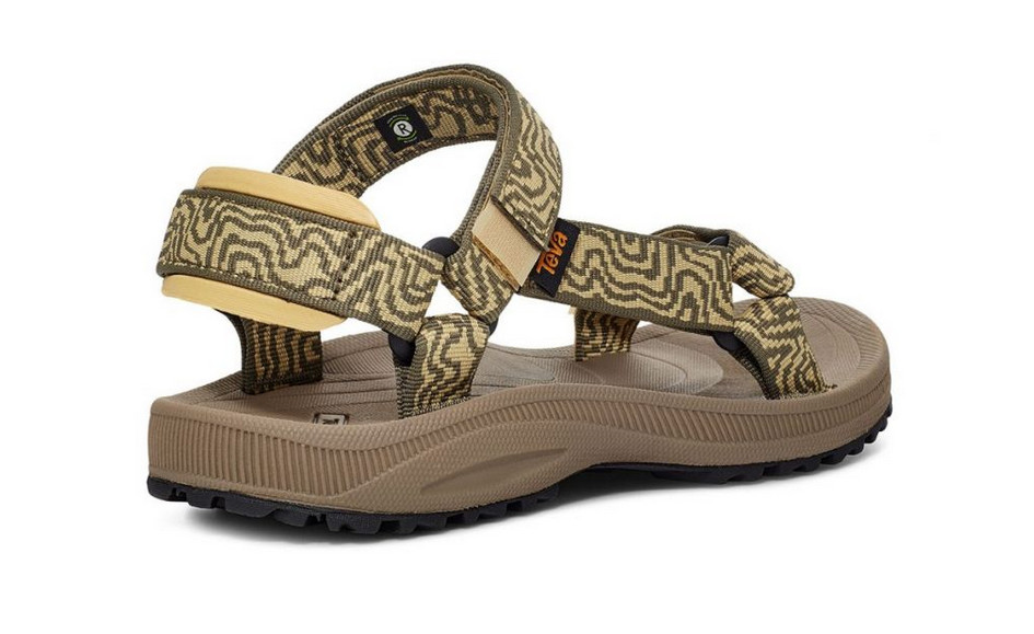 Teva winsted 2024