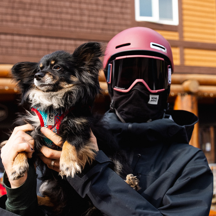 Squad XL Sangria Fortune Teller Goggles Ski and Snowboard Smith