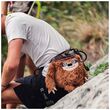 Πουγκί Σκόνης Μαγνησίας Y&Y Chalk Bag Sloth