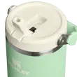 Stanley IceFlow Flip Straw 2.0 0.89L Pistachio Insulated Bottle