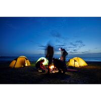 Grand Canyon Hattan 5.0 Medium American Beauty