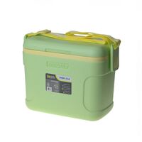 Pinnacle Passion 8L Lime Portable Ice Cooler Box