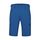 Mammut Runbold IV Tschiel Men's Shorts