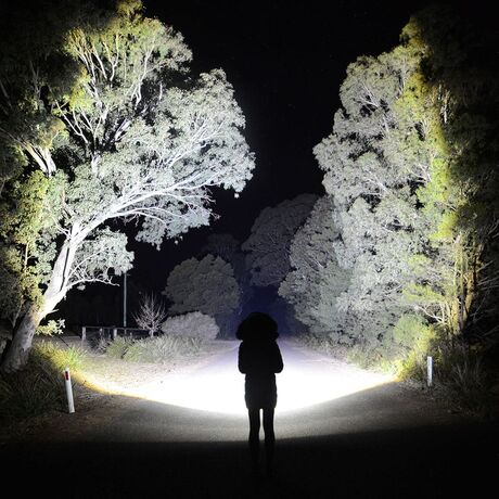 Nebo Big Daddy 2000 Flashlight Nebo Big Daddy 2000 Flashlight