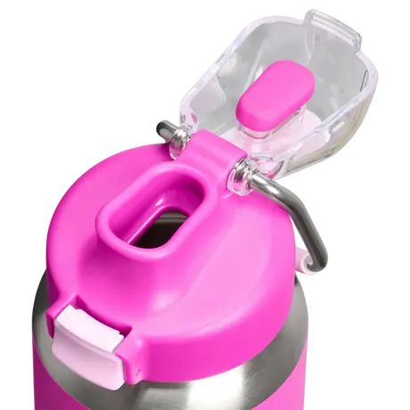 Stanley Classic Wellspring Bottle 0.7L Violet Blossom