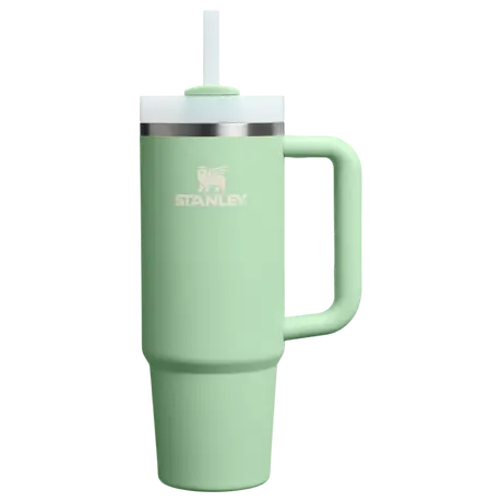 Stanley Quencher H2.0 Pistachio ​0.89L