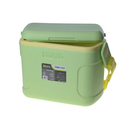 Pinnacle Passion 8L Lime Portable Ice Cooler Box