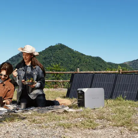 EcoFlow 220W Lightweight Portable Solar Panel