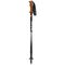 Fizan Trekking Poles Tierra Beige/Water Green