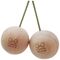 Πιασίματα Ενδυνάμωσης Y&Y Climbing Balls 100mm
